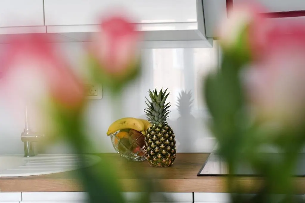 Apartment Lant Zadar